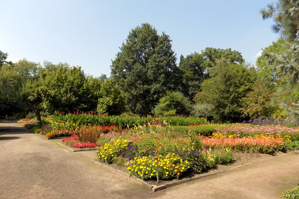 Miejski Ogród Botaniczny w Zabrzu