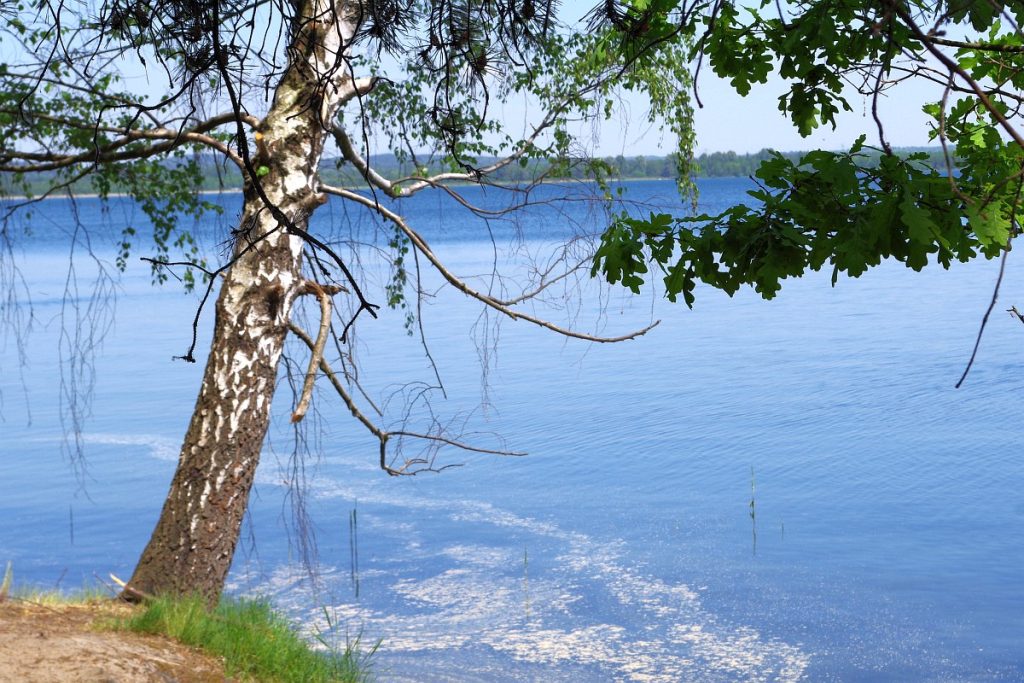 Jezioro Dziećkowice (Zbiornik Imieliński)
