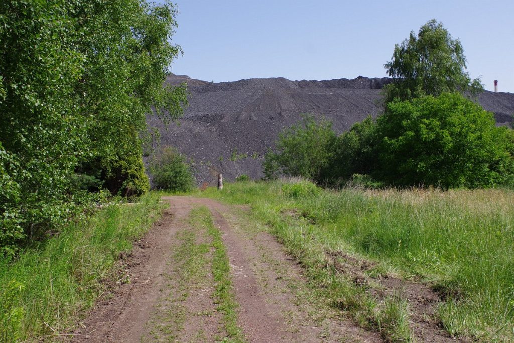Hałda kopalni Marcel w Radlinie – fotografie